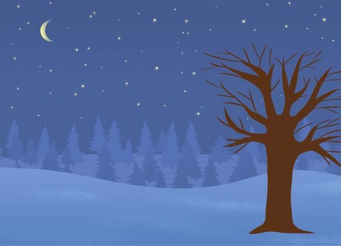 Мій альбом для аплікації та ліплення 5-6 років Авт: Н.І. Юрченко Вид-во: Основа - фото 7