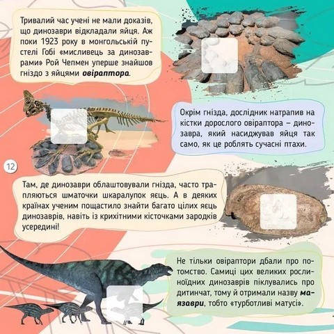100 цікавинок Динозаври Авт: Катерина Шаповалова Вид-во: Талант - фото 4