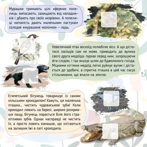 100 цікавинок Тварини Авт: Катерина Шаповалова Вид-во: Талант - фото 5