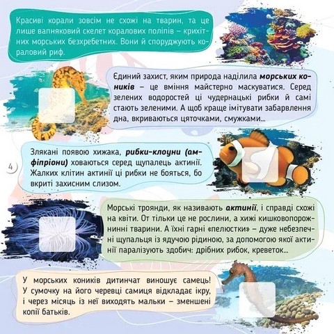 100 цікавинок Моря, океани та їхні мешканці Авт: Катерина Шаповалова Вид-во: Талант - фото 2