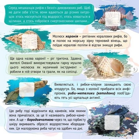100 цікавинок Моря, океани та їхні мешканці Авт: Катерина Шаповалова Вид-во: Талант - фото 3