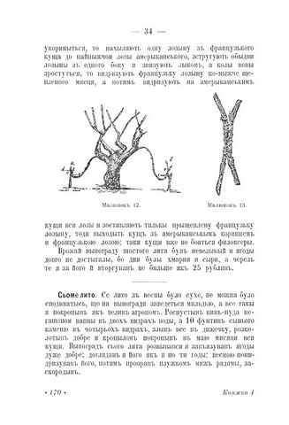 Розмова про сільське хазяйство Авт: Євген Чикаленко Вид-во: Видавець Олександр Савчук - фото 5